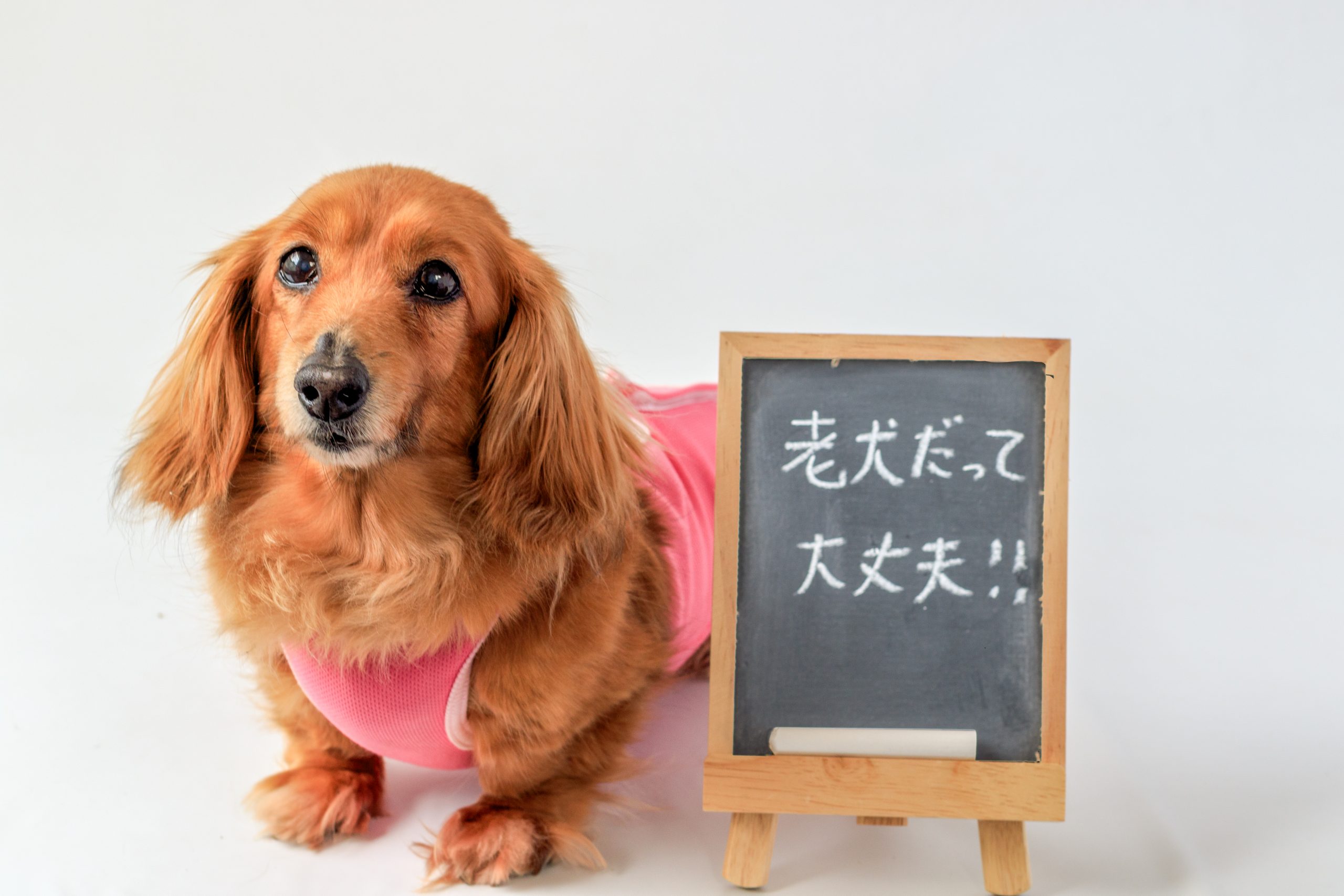 老化を遅らせるための生活環境