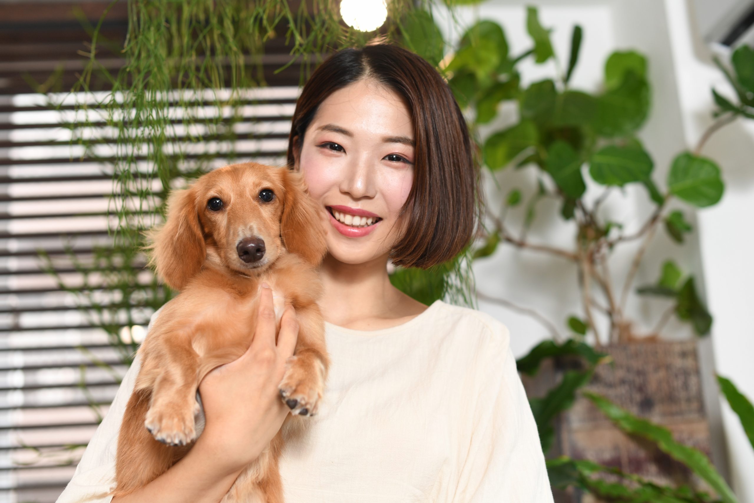 老化に対する心構えと飼い主の役割