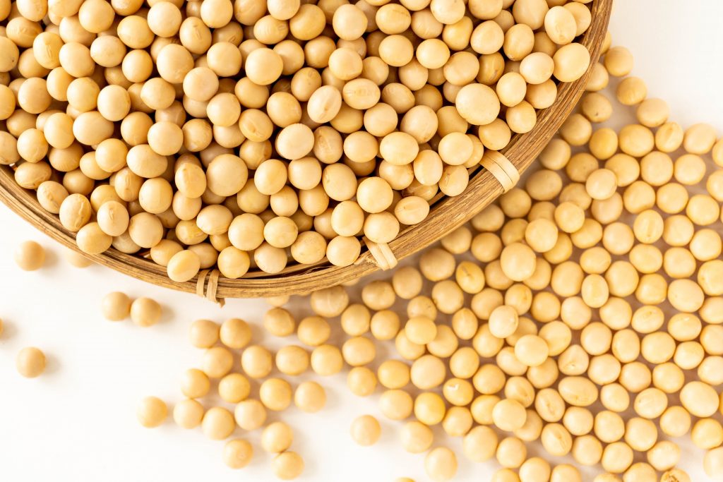 大豆のカルシウム吸収率は高い?牛乳との違い